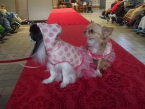 Hale Nani Nursing Home/Fashion Show @ Hale Nani Nursing Home