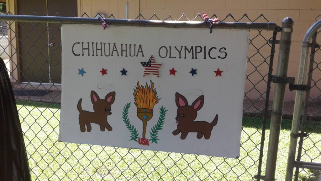 Chihuahua Olympics