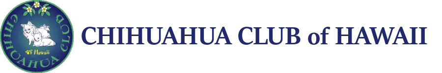 Chihuahua Club of Hawaii - Chihuahua Club of Hawaii: For Chihuahuas and people who love them.
