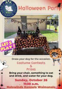 Halloween Party @ Nalowinds Kennels