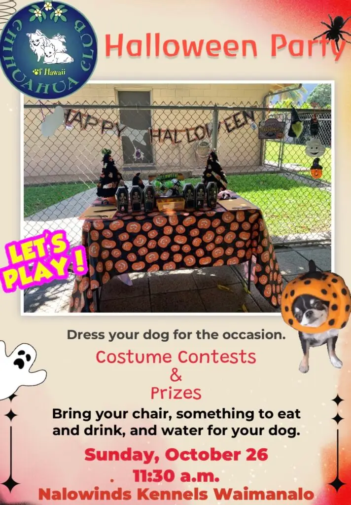 Halloween Party