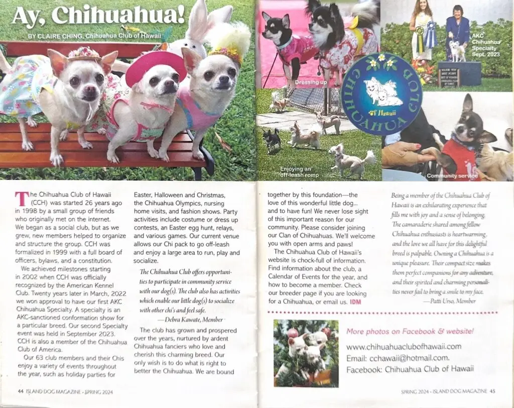 Chihuahua Club of Hawaii in Island Dog Magazine